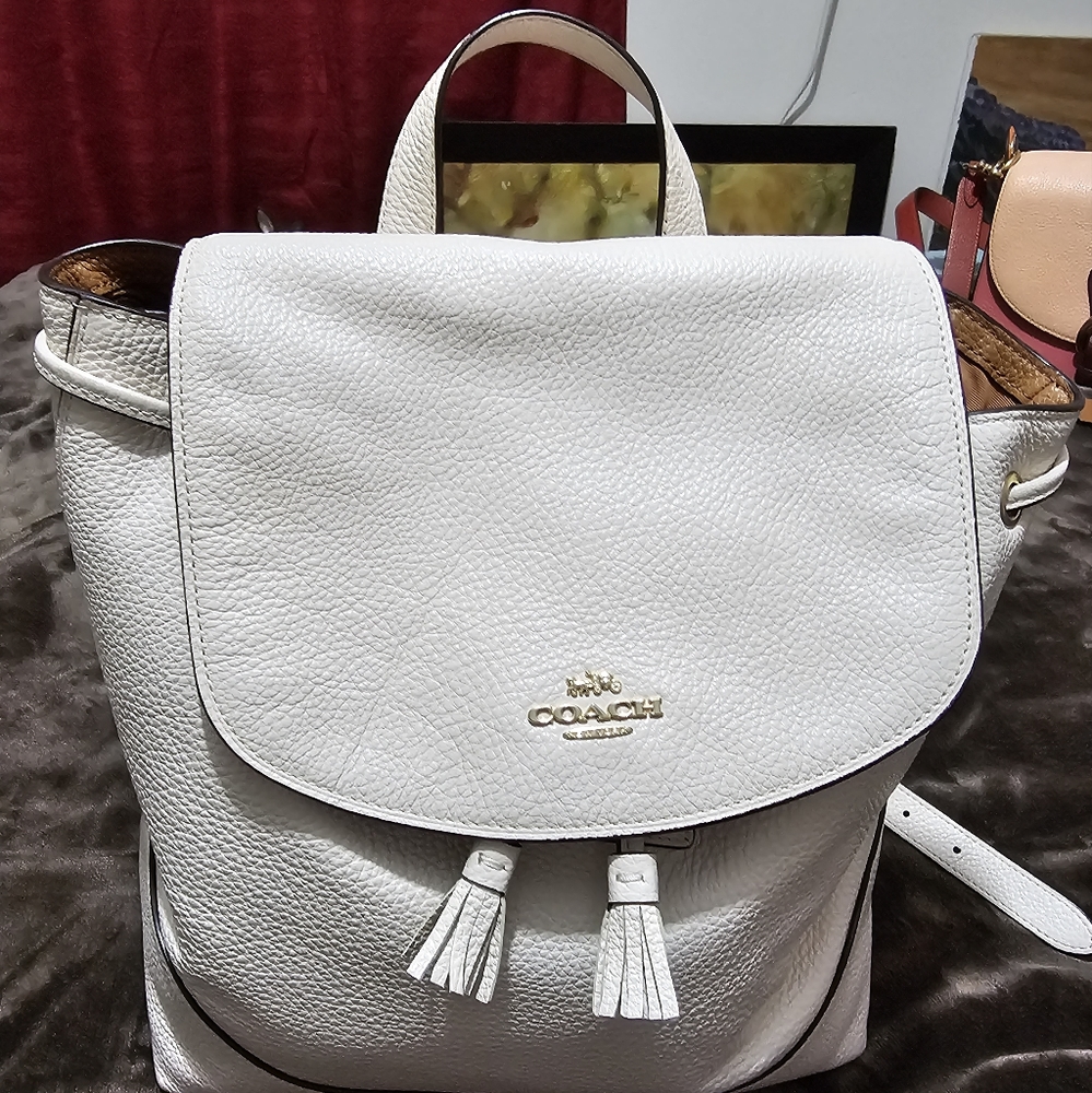Authentic Coach leather Backpack